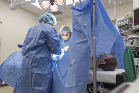 Big Thinker - Patty Muehlenbeck Patty working in surgical lab