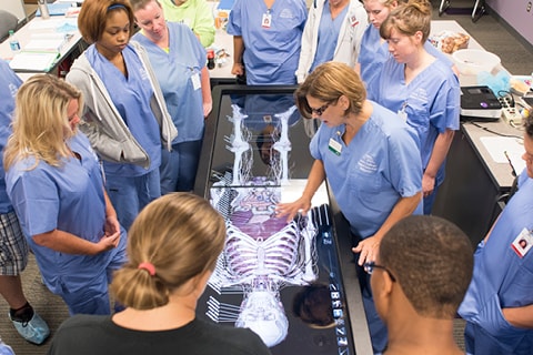 Students standing around the Anatomage table.