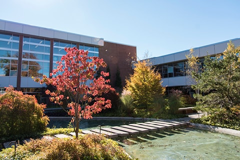 Delta Courtyard