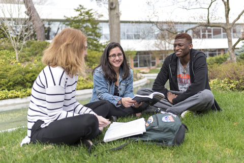 Students studying in courtyard