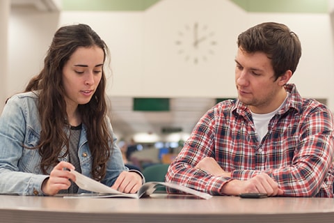 Students working in the Library