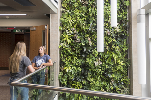 Students standing by the Living Wall