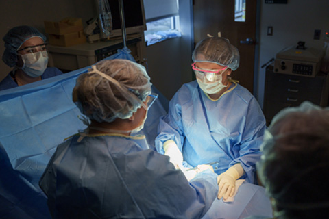 Delta College students in Surgical Technology program performing a surgical exercise in lab