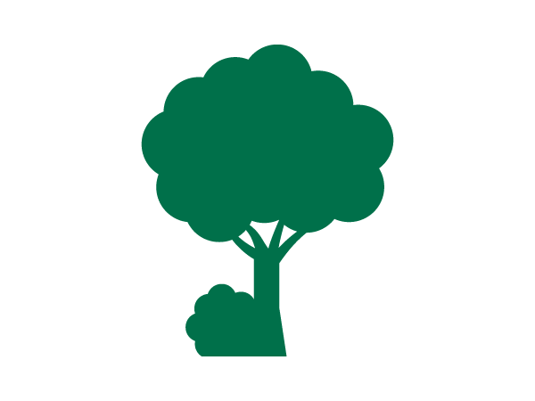 Tree Tree