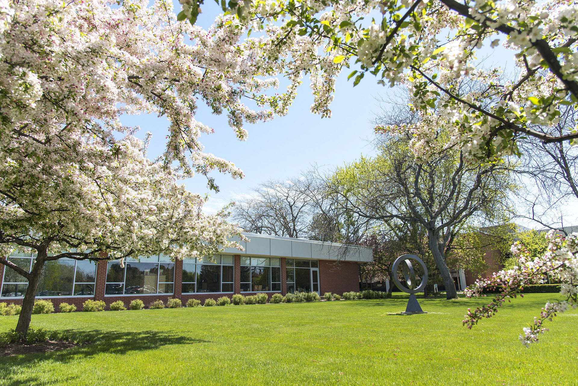 Main Campus in spring