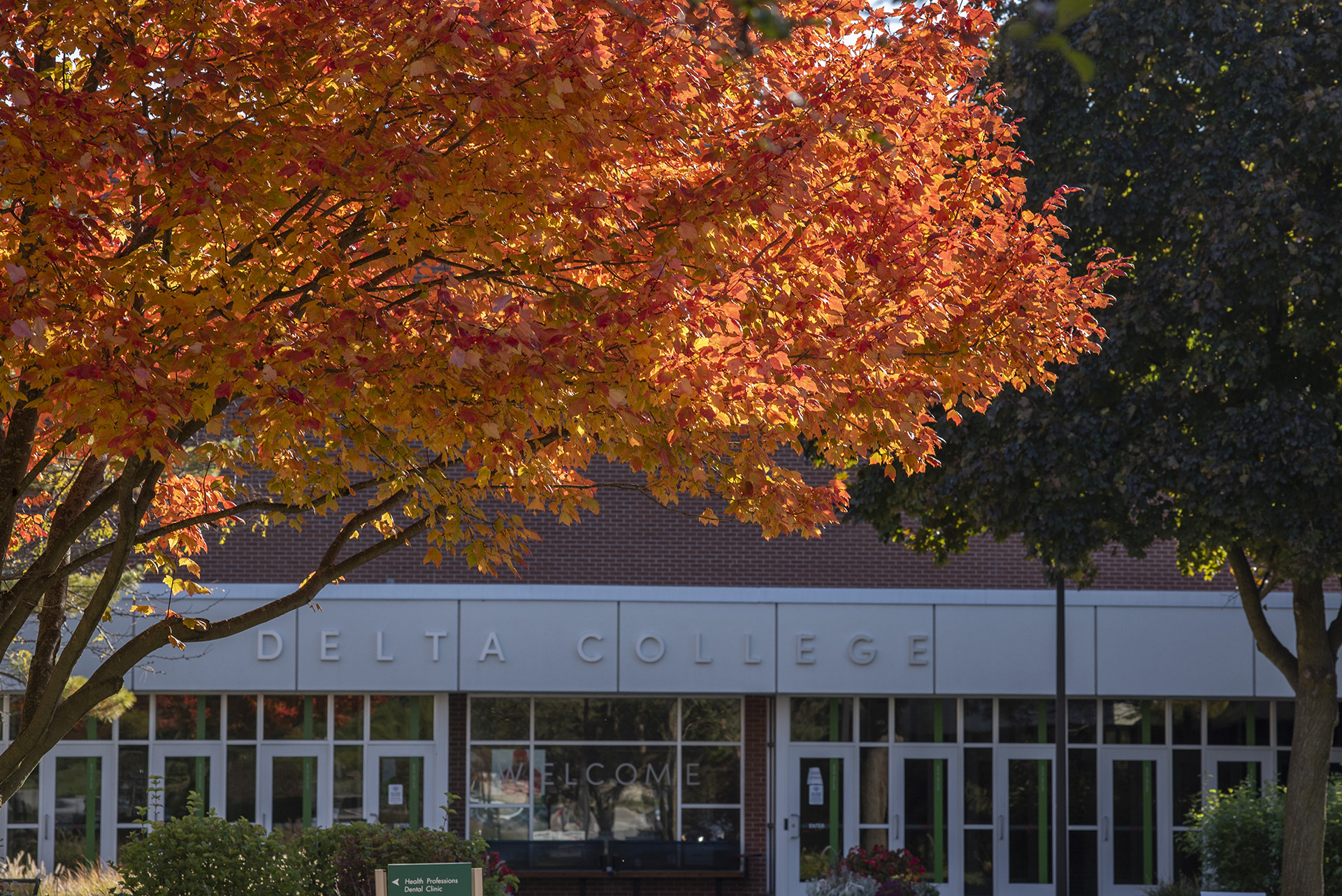 Campus looks beautiful during all seasons, especially fall.