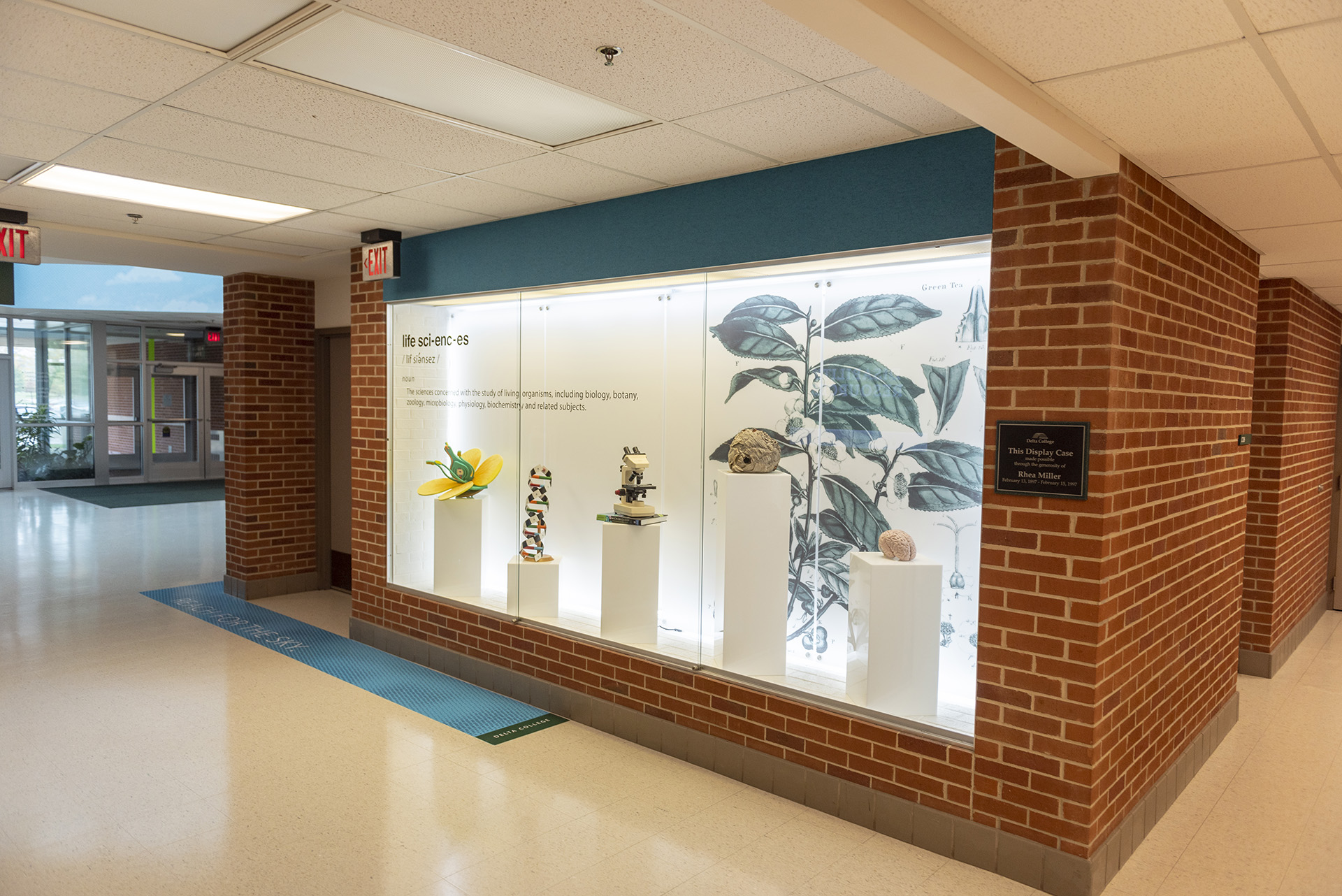 The C Wing houses many science-related programs like chemistry and geology.