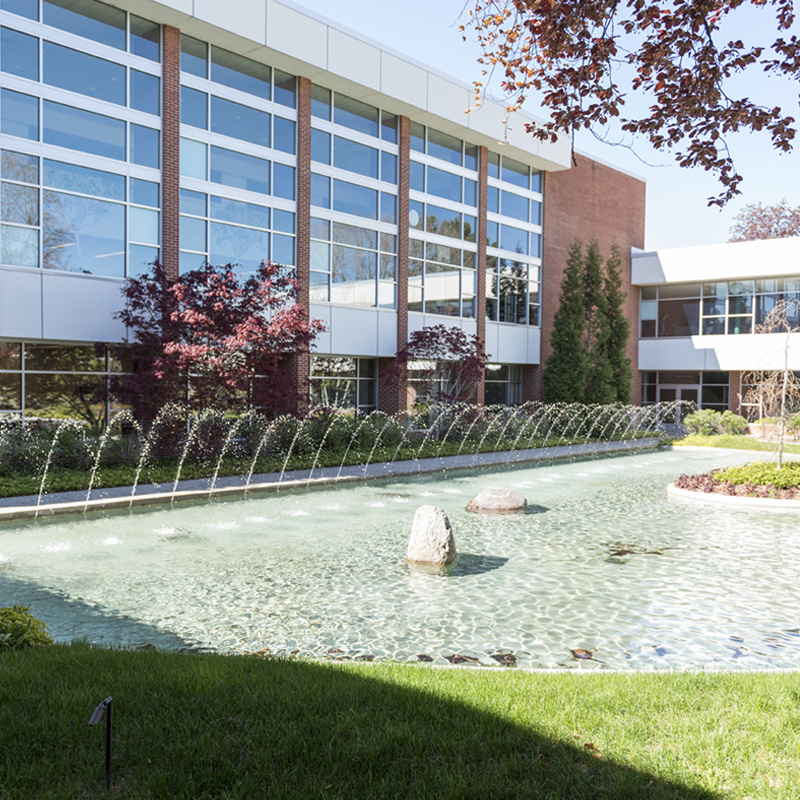 Courtyard in the fall