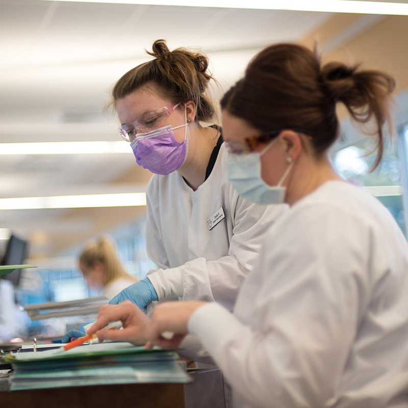 Students working in the Dental Clinic