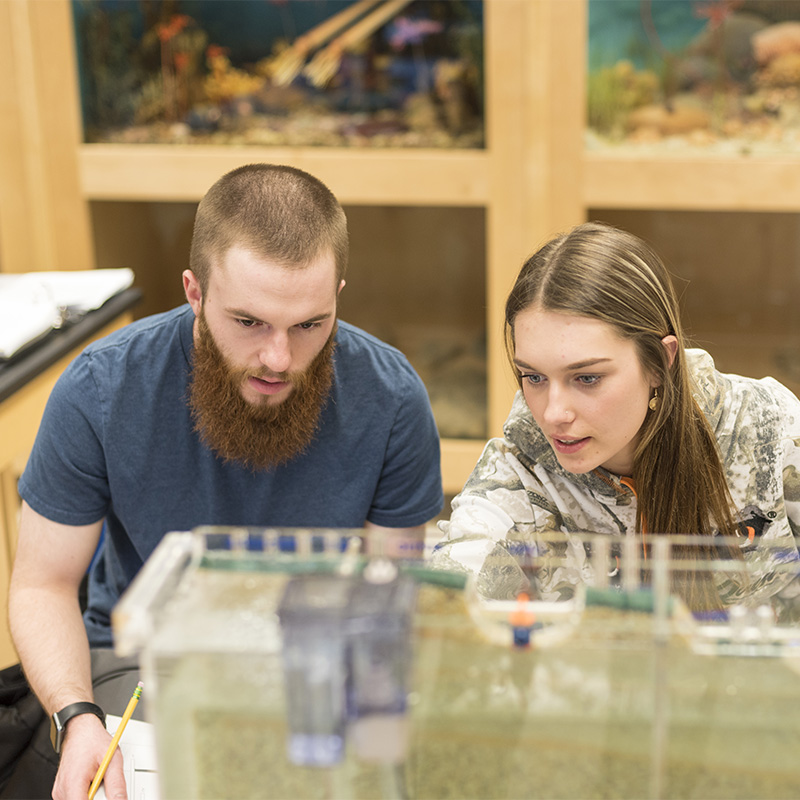 Delta students in geology lab