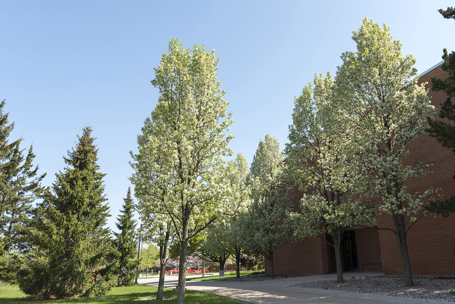 Campus in spring