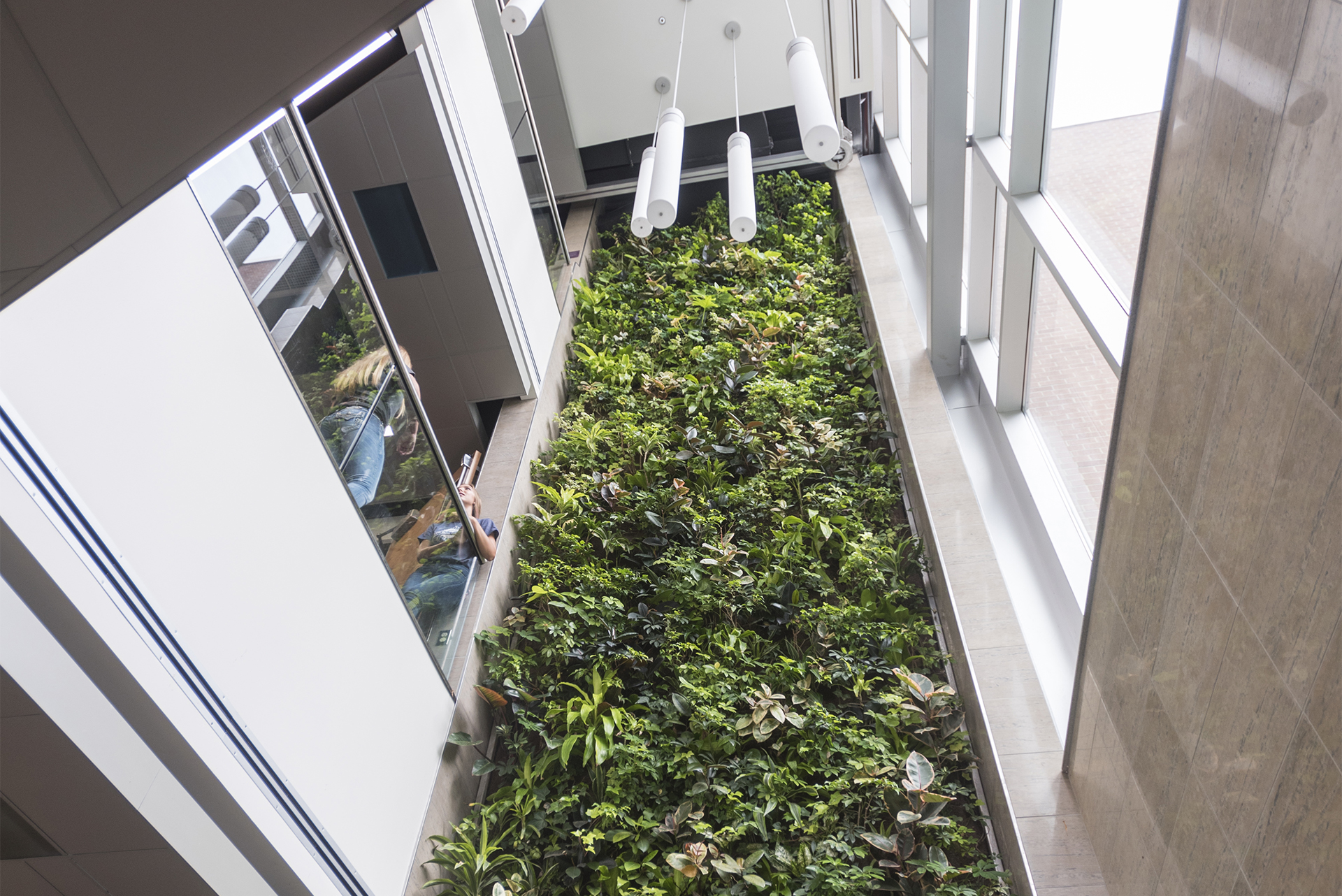 Student by the Living Wall